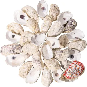 30 PCS Oyster Shells, 4"-5" Large Oyster Shells for Crafts, Natural Oyster Shells Bulk for Home Vase Filler Flat Concave Sea Shells for DIY Arts and Crafts Decoupage