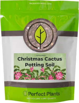All Natural Christmas Cactus Potting Soil by Perfect Plants | Made in The USA | Christmas Cactus & Other Succulent Varieties | Formulated for Proper Drainage (4qt)