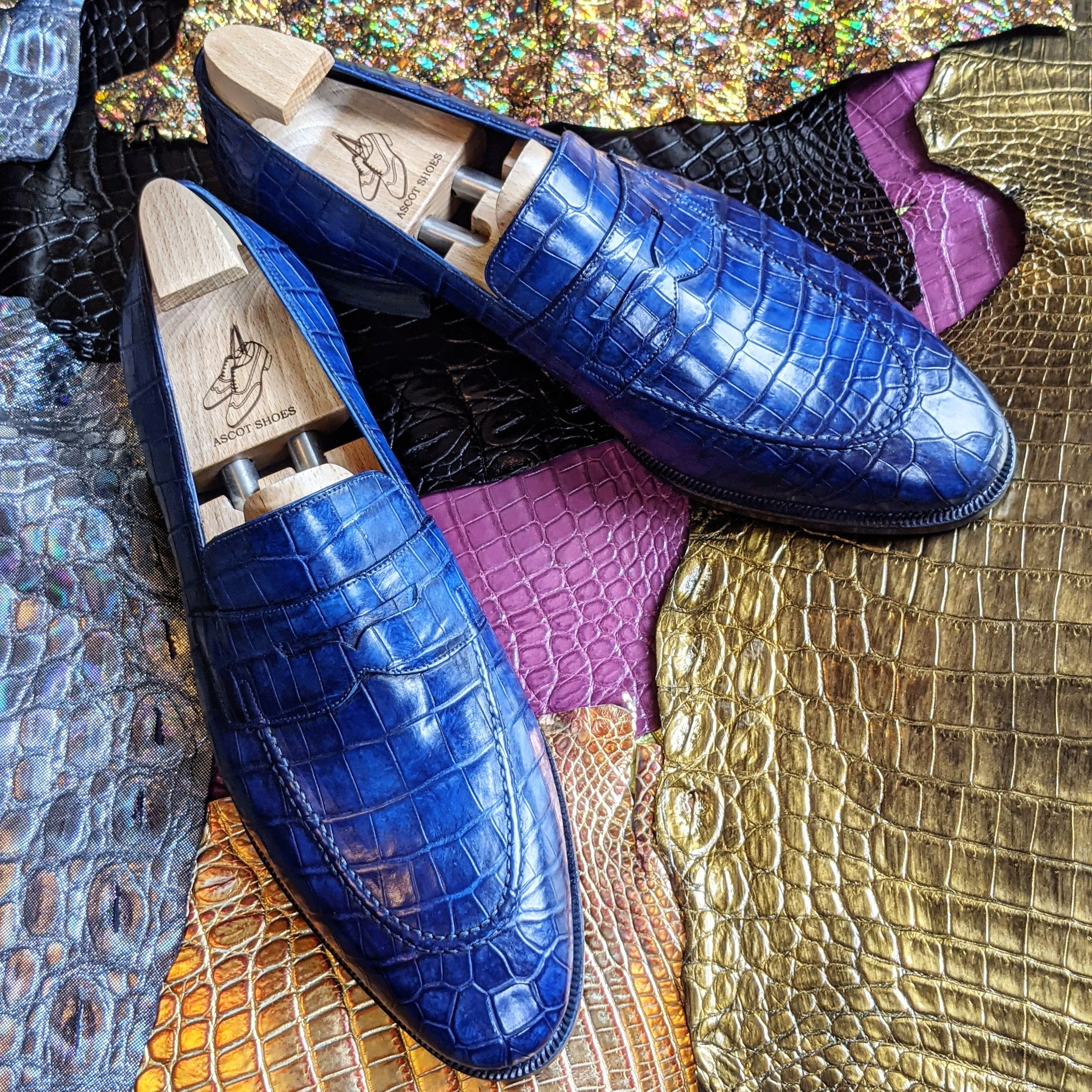 Ascot Sinatra - Blue Alligator