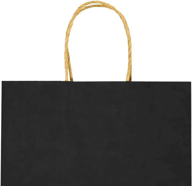 bagmad 50 Pack 5.25x3.25x8 Inch Plain Black Small Gift Paper Bags with Handles Bulk, Kraft Paper Bags, Party Favors Grocery Retail Shopping Business Craft Cub Sacks (Black 50pcs)