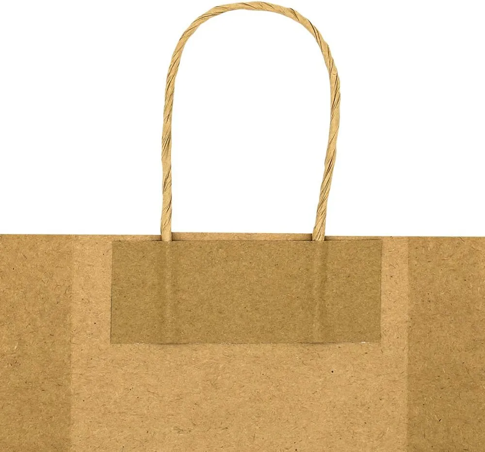 bagmad 50 Pack 5.25x3.25x8 Inch Plain Black Small Gift Paper Bags with Handles Bulk, Kraft Paper Bags, Party Favors Grocery Retail Shopping Business Craft Cub Sacks (Black 50pcs)