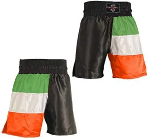Boxing Competition 100% Satin Training Shorts - Ireland Flag Series