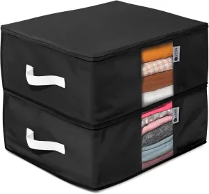 Clothes Storage Bag Organizer with Cedar Insert to Protect from Moist Dirt Dust Etc. Set of 2 Bags Black Polyester