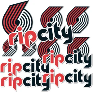 Desert Cactus Portland Trail Blazers Sticker NBA Officially Licensed Vinyl Decal Laptop Water Bottle Car Scrapbook Sheet (Type 1-1)
