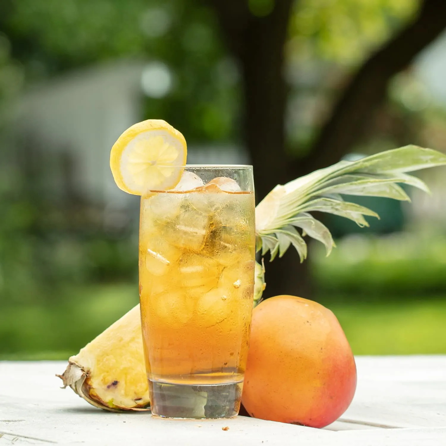 Harney & Sons Tropical Mango Fresh Brew Iced Tea Bags, 15 count