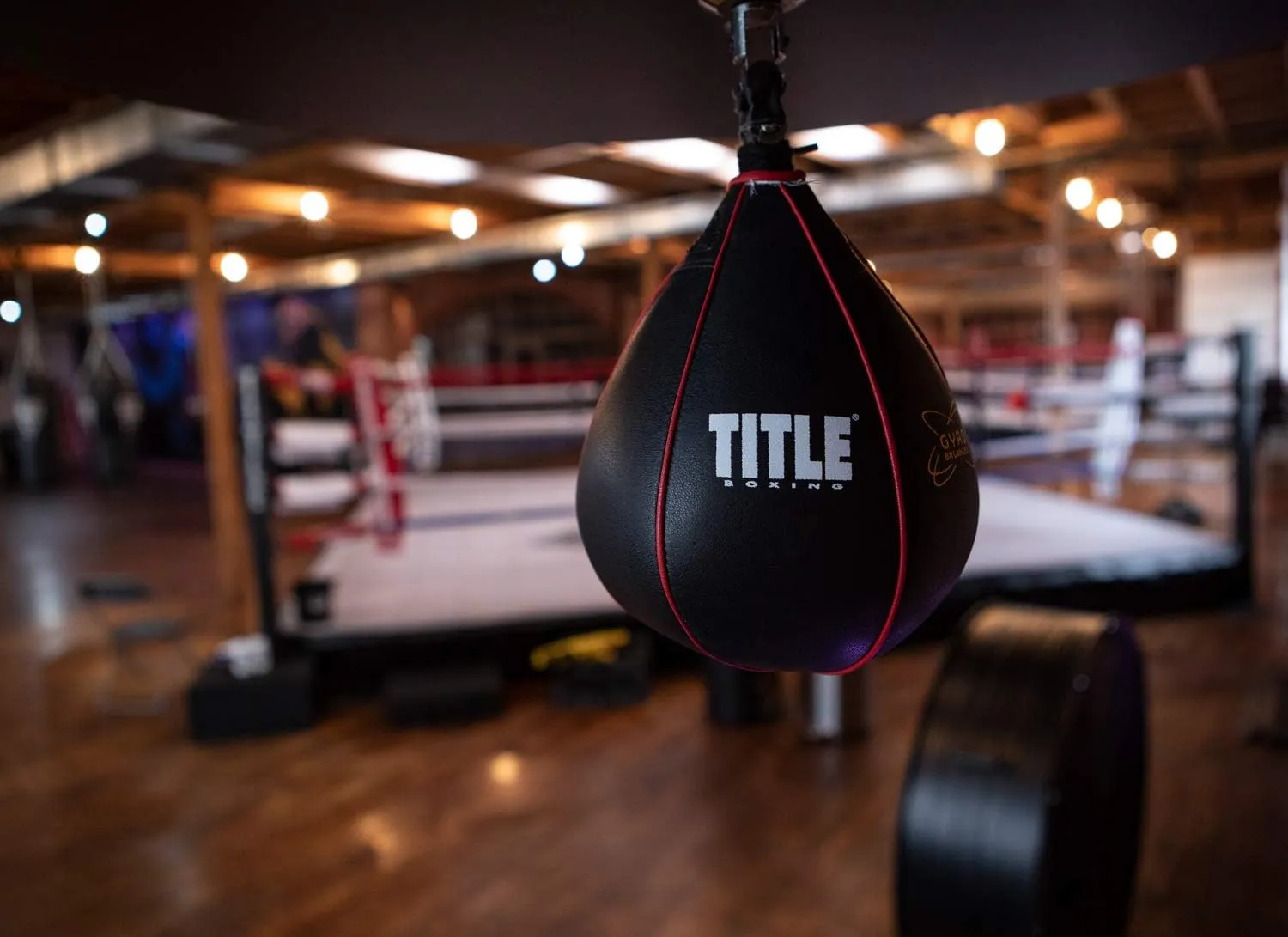 TITLE Boxing Gyro Balanced Leather Speed Bag: Speed Bag for Boxing, Speedbag, Speed Bags, Boxing Speed Bag, Title Speed Bag, Boxing Bag, Boxing Equipment, Punching Bag